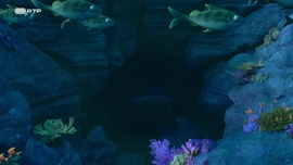 Imagem de O Caracol � Boleia na Cauda da Baleia