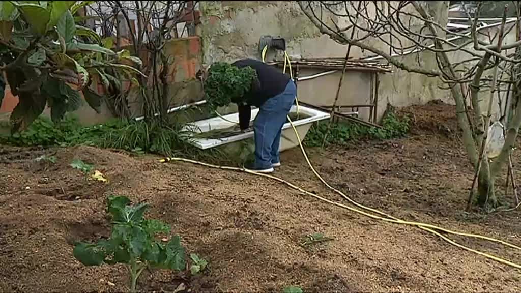 Imagem de Linha da Frente - Vidas Confinadas