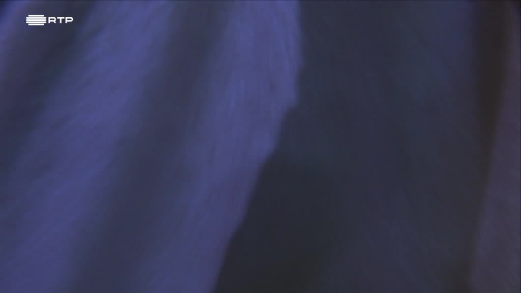 Imagem de Linha da Frente - Os Invisíveis