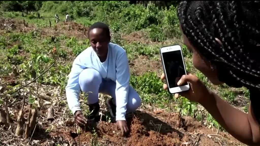 Imagem de África Global