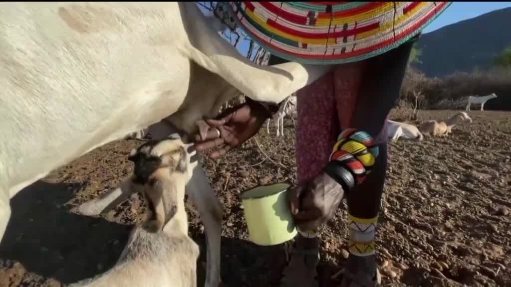 Imagem de África Global