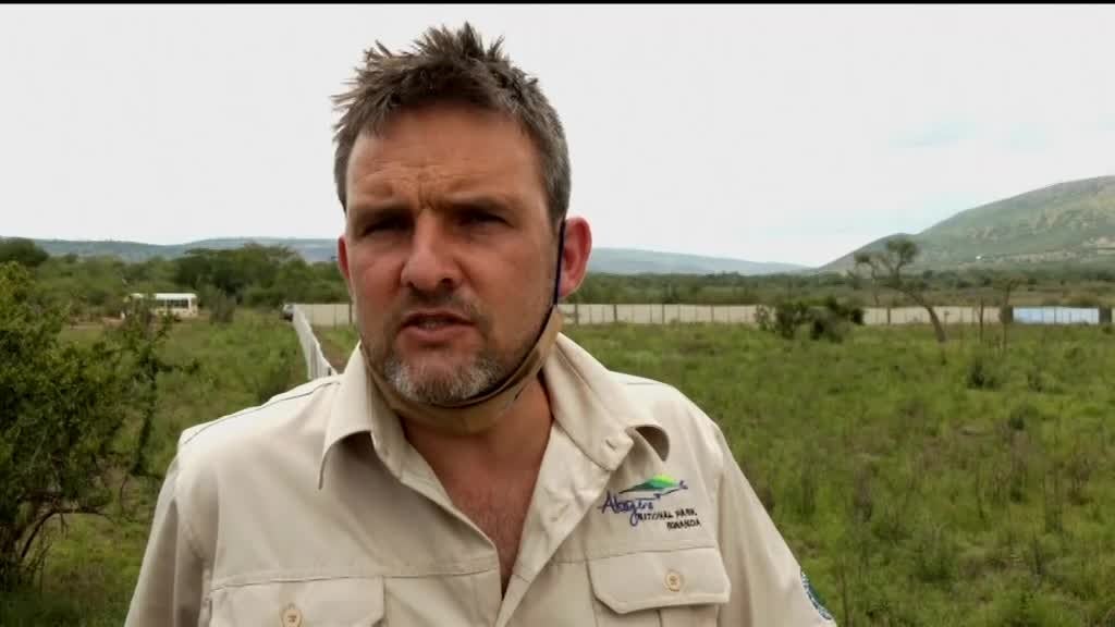 Imagem de África Global