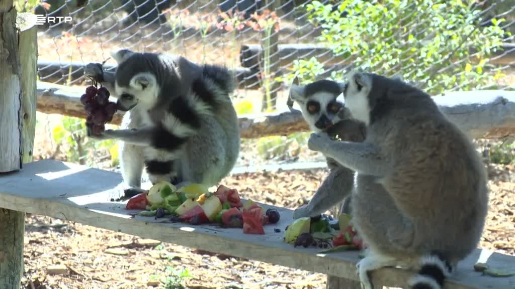 Imagem de Rota N2 - Best Of