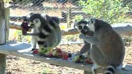 Imagem de Rota N2 - Best Of