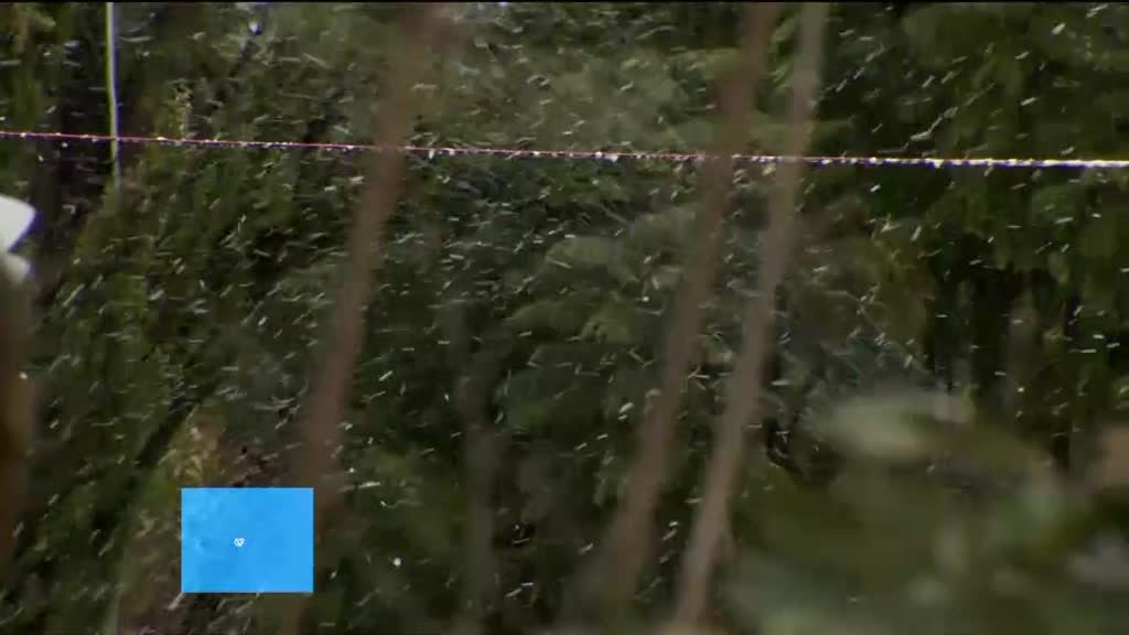 Imagem de Aqui Portugal