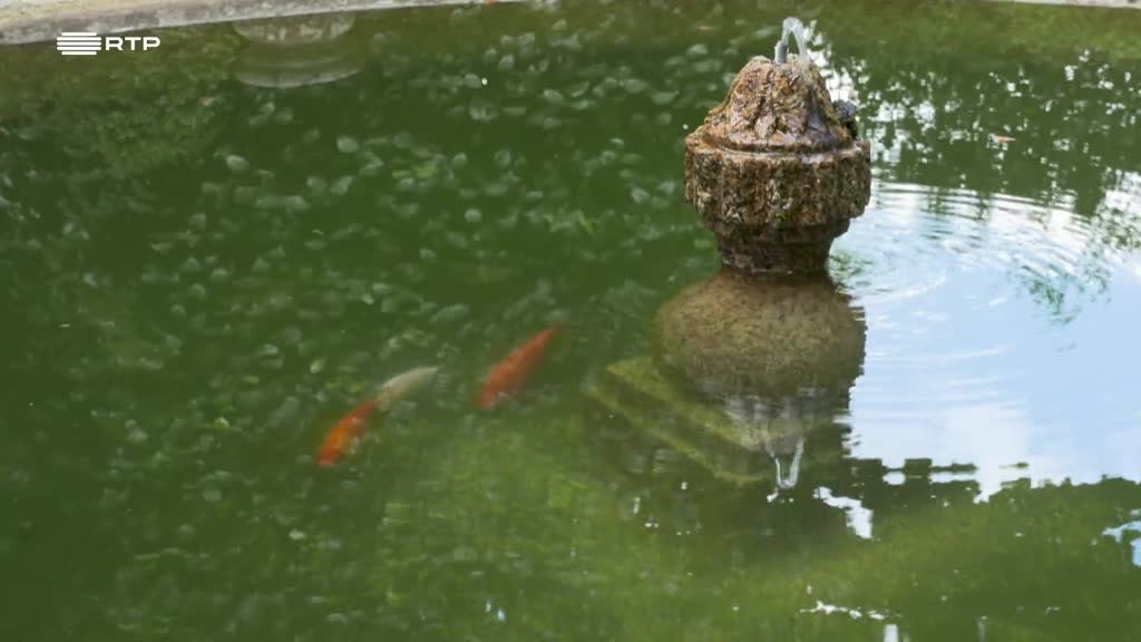 Imagem de Jardins Históricos