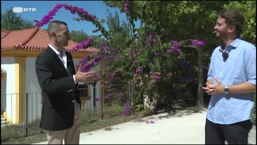 Imagem de Jardins Históricos