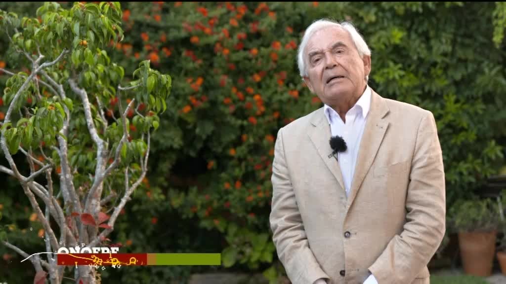 Imagem de Mar de Letras