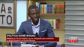 Imagem de Cultivar Cannabis ou No, Eis a Questo / Golpe de Estado no Mali / ...