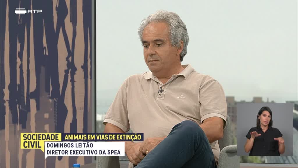 Imagem de Animais em Vias de Extinção