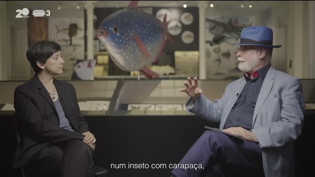 Imagem de Janela Global