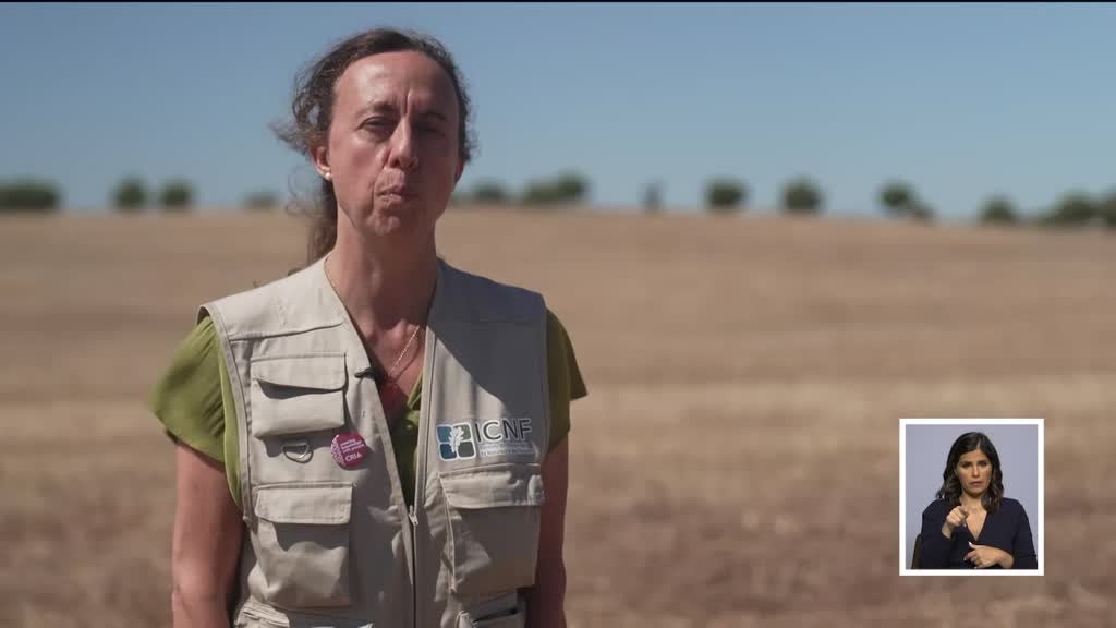 Imagem de Biosfera - O Regresso do Grande Predador ao Território Português