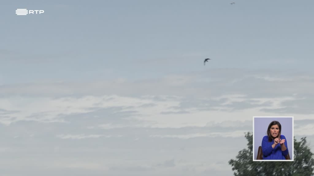 Imagem de Biosfera - Salvar as Aves