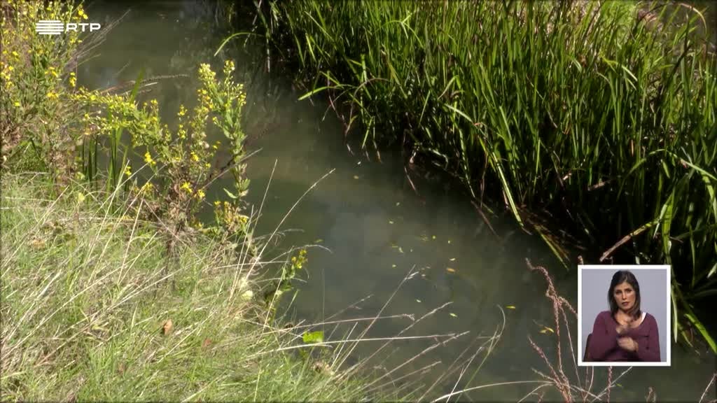 Imagem de Biosfera - Ciência Cidadã