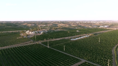 Biosfera - Algarve: A Abacate e Água