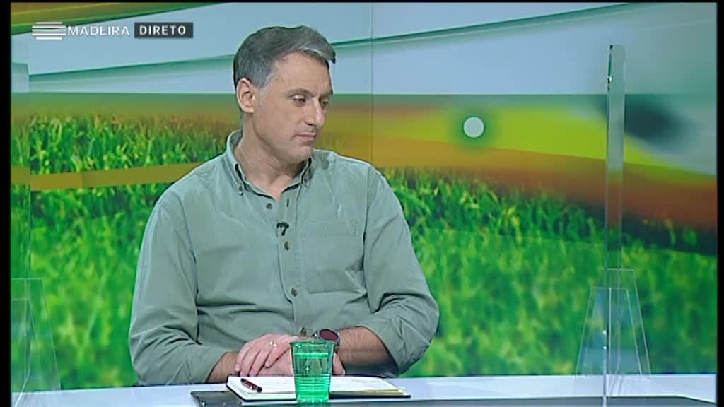 Imagem de Prolongamento 2021