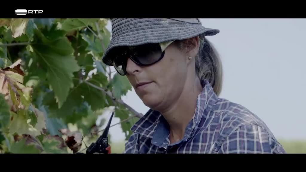 Imagem de A Essência