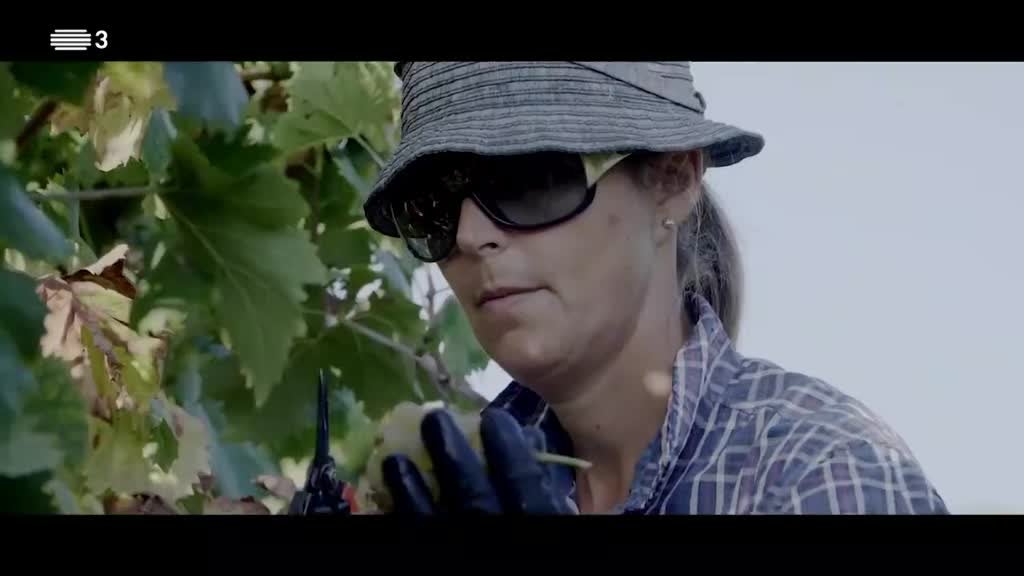 Imagem de A Essência