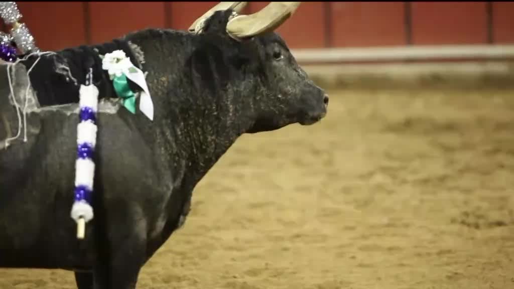 Imagem de Hora dos Portugueses