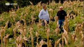 Hist�rias da Terra e da Gente