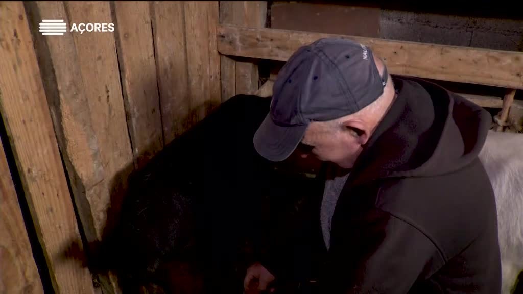 Imagem de Histórias da Terra e da Gente