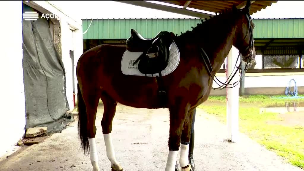 Imagem de Histórias da Terra e da Gente