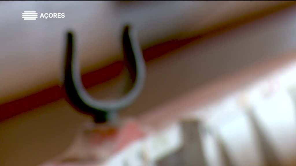 Imagem de Histórias da Terra e da Gente