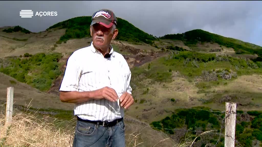 Imagem de Histórias da Terra e da Gente