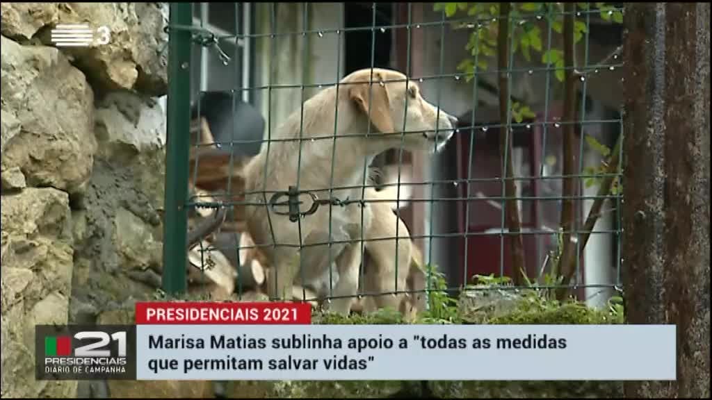 Imagem de Diário de Campanha - Presidenciais 2021