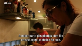 Imagem de Karlo (Cro�cia)