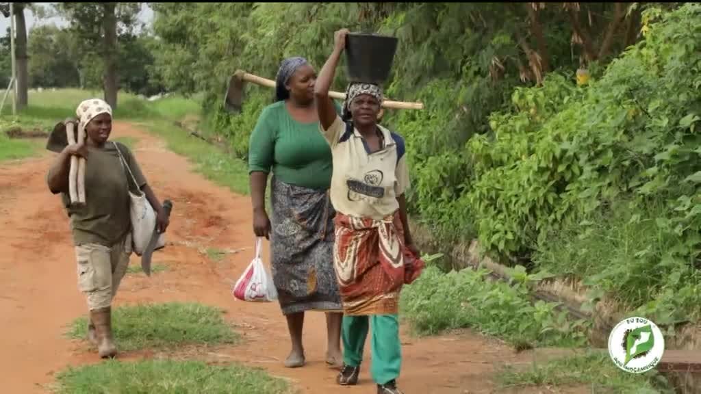 Imagem de Escola do Agricultor, Eu Sou Por Moçamb