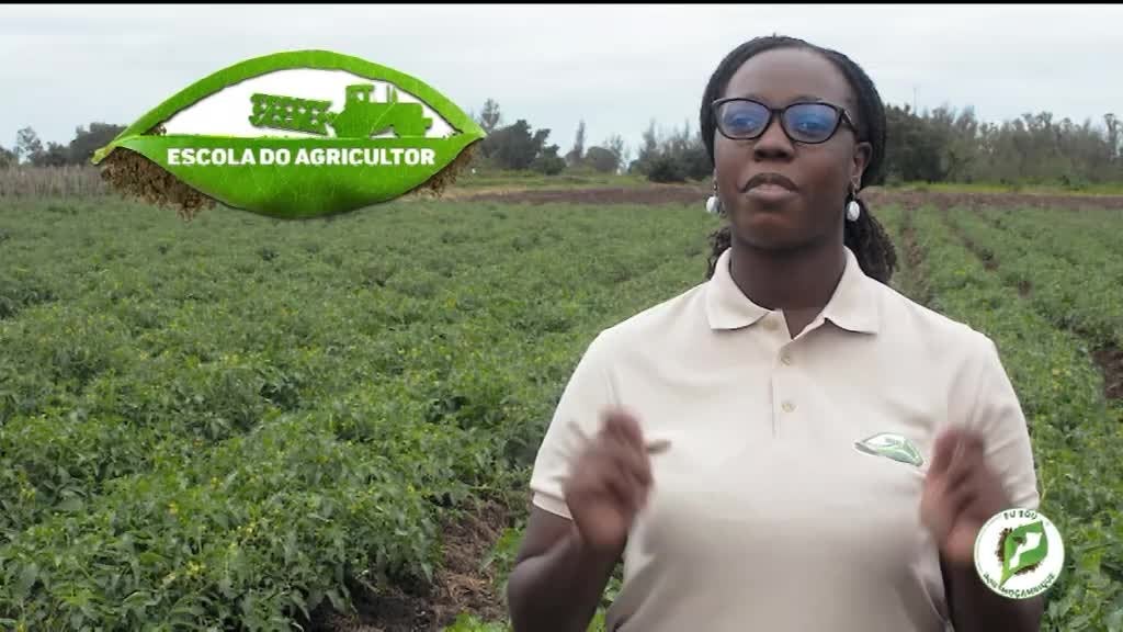 Imagem de Escola do Agricultor, Eu Sou Por Moçamb