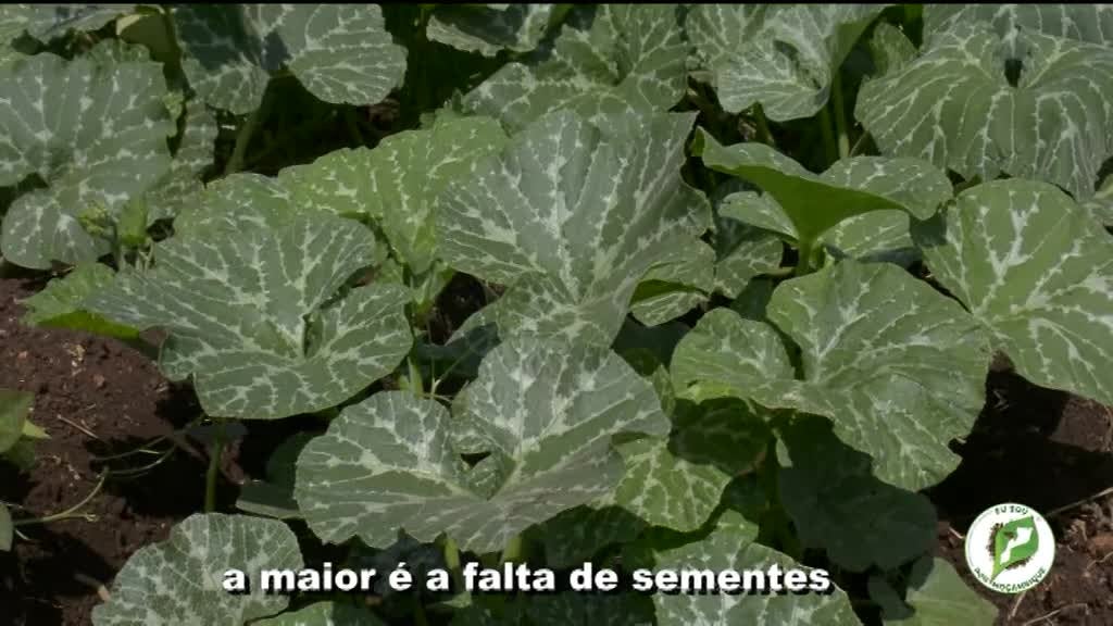 Imagem de Escola do Agricultor, Eu Sou Por Moçamb