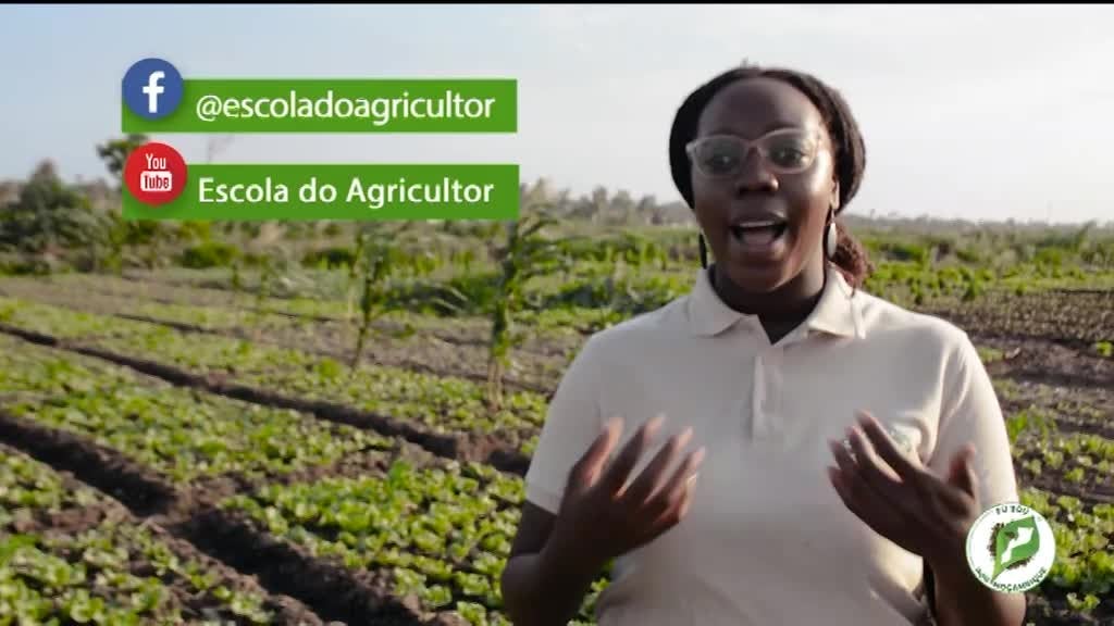 Imagem de Escola do Agricultor, Eu Sou Por Moçamb