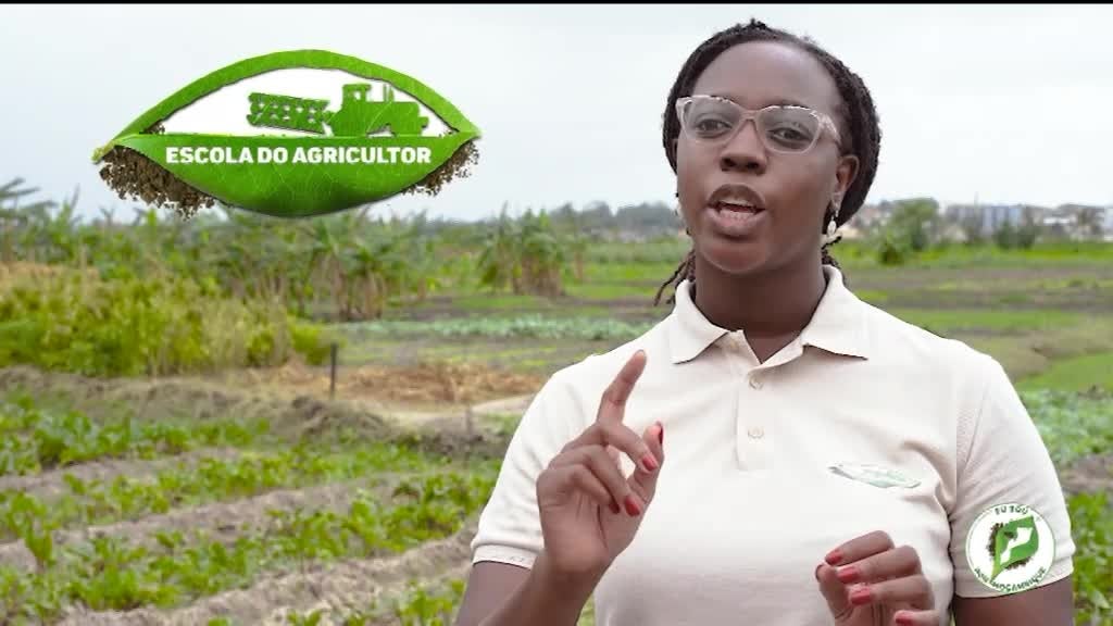 Imagem de Escola do Agricultor, Eu Sou Por Moçamb