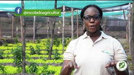 Imagem de Escola do Agricultor, Eu Sou Por Mo�ambique