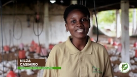 Imagem de Escola do Agricultor, Eu Sou Por Mo�ambique