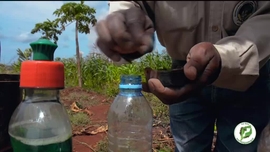 Imagem de Escola do Agricultor, Eu Sou Por Mo�ambique