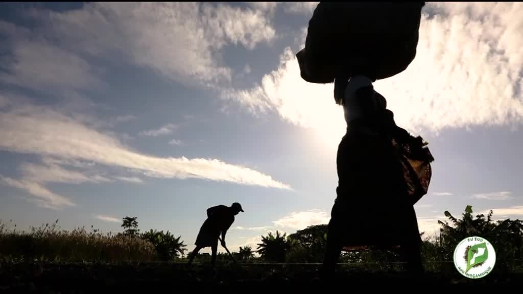 Imagem de Escola do Agricultor, Eu Sou Por Moçamb