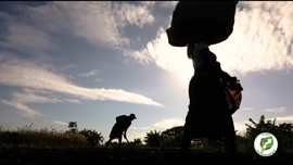 Imagem de Escola do Agricultor, Eu Sou Por Mo�ambique