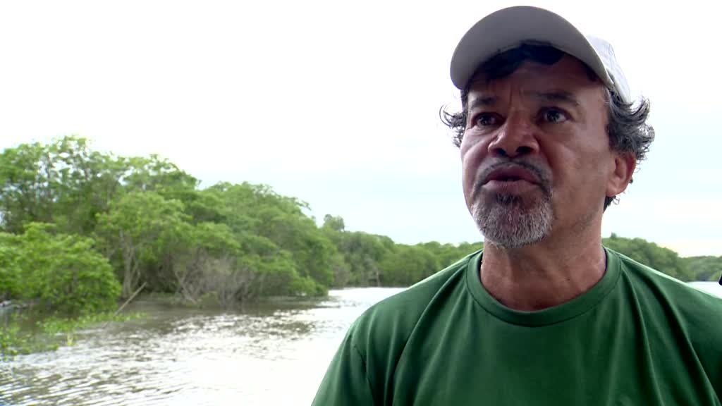 Imagem de Fernão de Magalhães 2020 - Guanabara, Ainda Há Vida na Baía