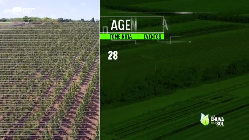 Imagem de Faça Chuva Faça Sol