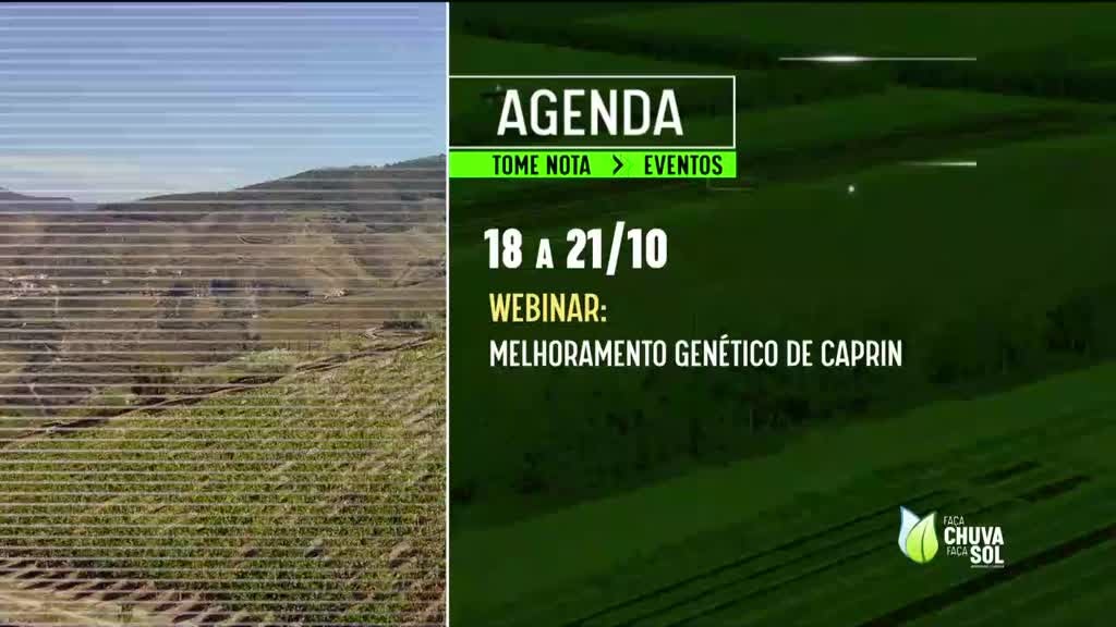 Imagem de Faça Chuva Faça Sol