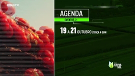Faça Chuva Faça Sol