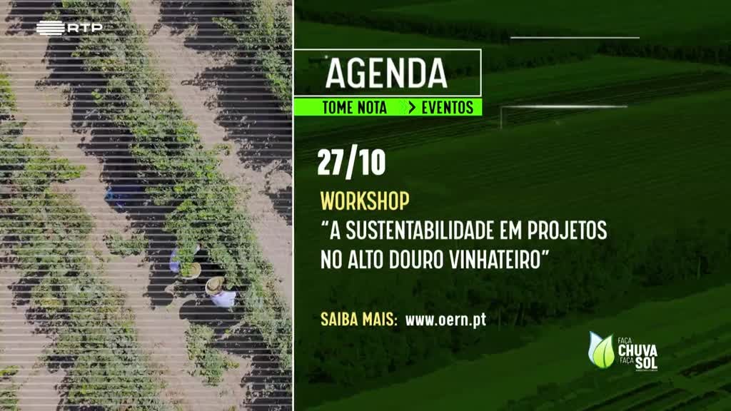 Imagem de Faça Chuva Faça Sol