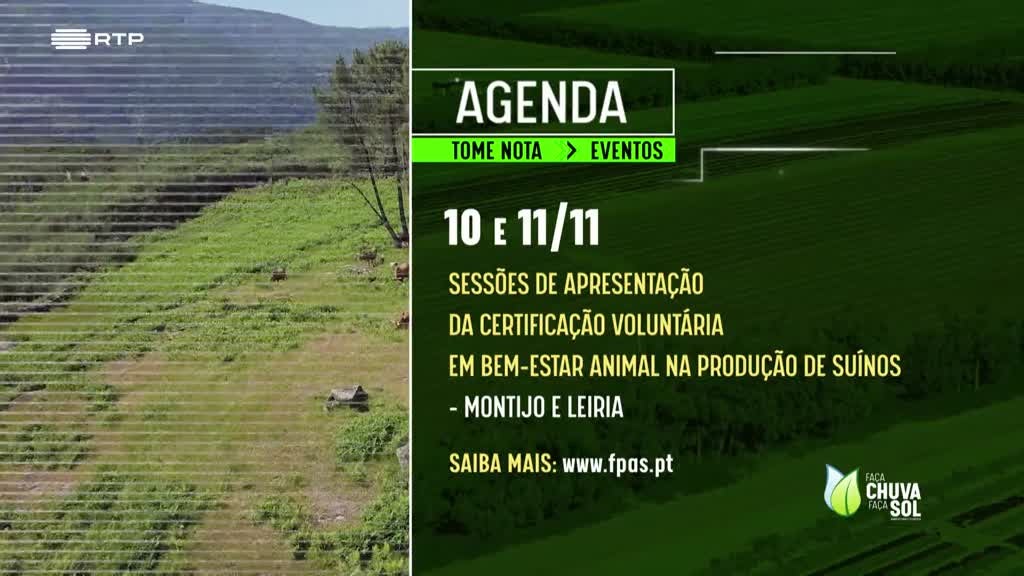 Imagem de Faça Chuva Faça Sol