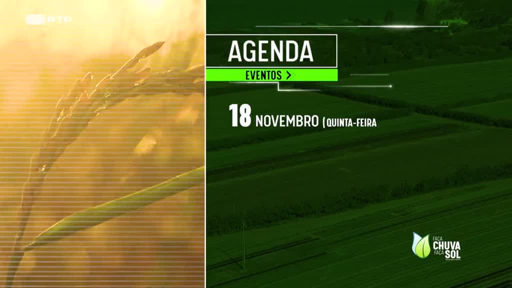 Imagem de Faça Chuva Faça Sol