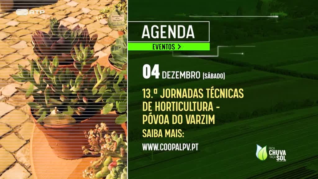 Imagem de Faça Chuva Faça Sol