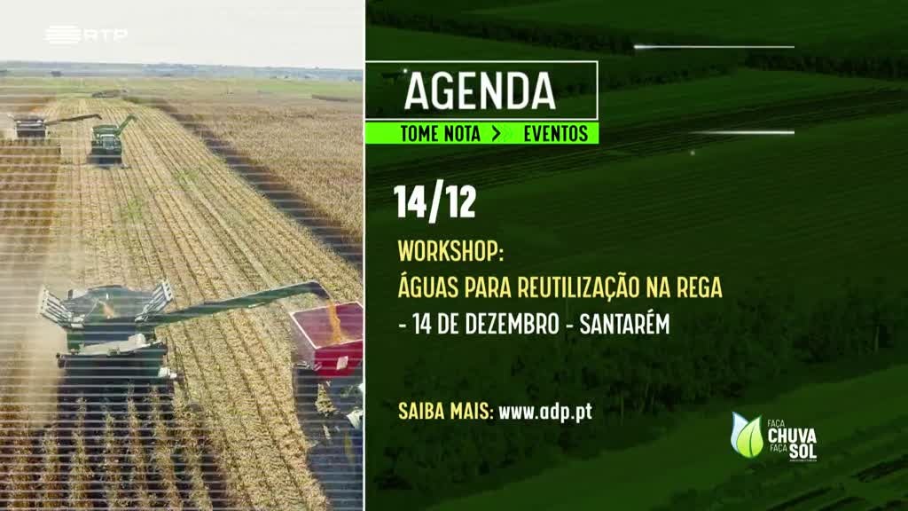 Imagem de Faça Chuva Faça Sol