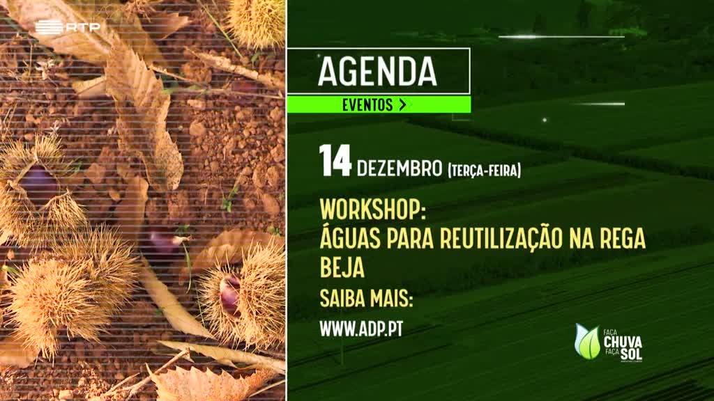 Imagem de Faça Chuva Faça Sol